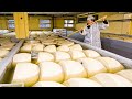 How italian parmesan wheel of cheese is made  king of cheese 1000 per wheel making in factory