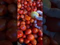 Perbumbuan lagi mahal hamuna #pasartradisional #dailyvlog #anakkosan