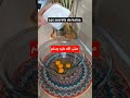 فصول السنة أربعة Ecotravel Food Artculinaire Recettefacile Chefchaouen Cuisine Relookingcui فصول السنة أربعة Ecotravel Food Artculinaire Recettefacile Chefchaouen Cuisine Relookingcui