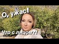 Лето, задержись! Наши станичные будни //Переезд на юг/ Life in Russia