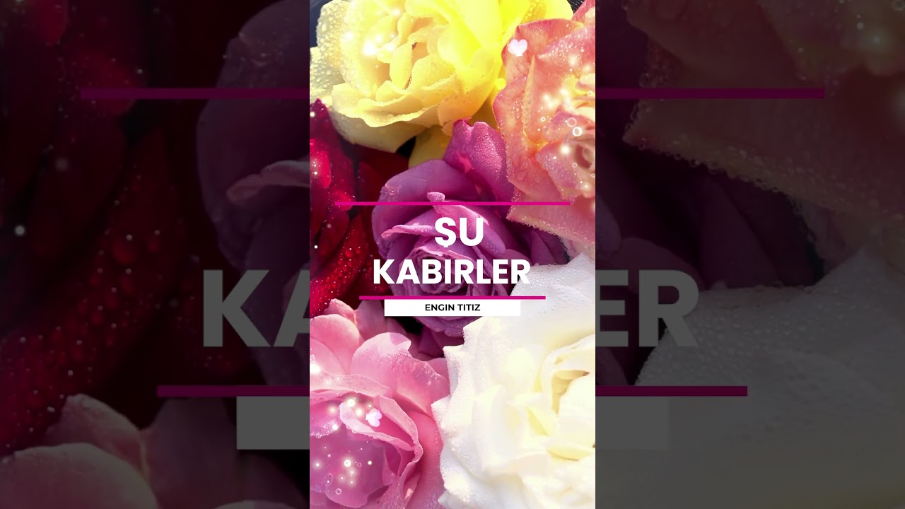 Şu Kabirler - Engin Titiz  #engüzelilahiler  #ilahi #medine #medineilahileri