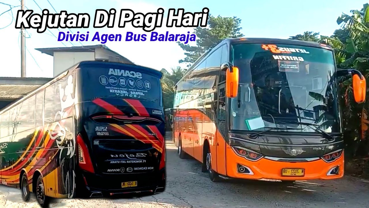 UPDET TERKINI,BUS BEJEU,27 TRAN,STJ  DI PAGI HARI 12 JANUARI 23 || DIVISI AGEN BUS BALARAJA