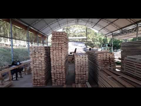 Vídeo: O que é madeira serrada TGI?