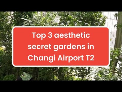 Top 3 aesthetic secret gardens in Changi Airport T2