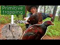 Primitive trapping : how to trap Junglefowls/Wild chickens in Naga style|| Catch and release