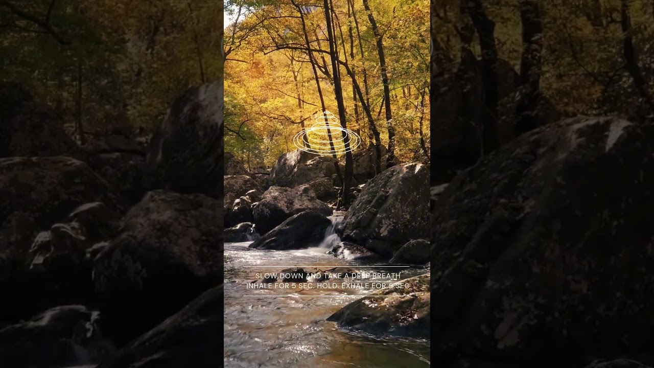 30-Second Nature Pause | Golden Brook Mindful Breathing