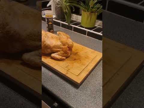 stubborn chicken end