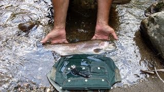 Jiggin' Jerry Fishing for River Trout in Cherokee North Carolina