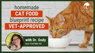 Homemade Cat Food Recipes Vet Approved Basic Blueprint