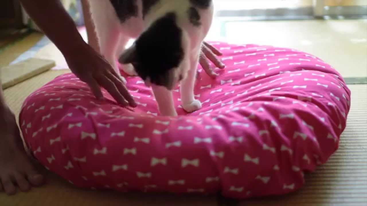 1🧵クッションカバー Cat's cushion cover. - YouTube