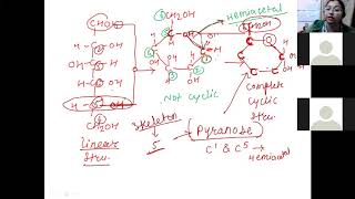 chapter biomolecule; lecture 5  Pyranose and Furanose structure