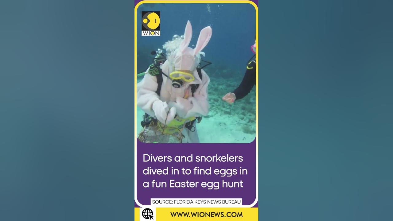 ‘Egg-splorers’ join Scuba Easter Bunny | WION Shorts