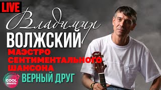 Владимир Волжский - Верный друг (Маэстро сентиментального шансона, Live)