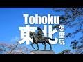東北樂享周遊券|日本三景之一松島、松島灣遊船「仁王丸航線」、陸奧伊達政宗歷史館、瑞巖寺、超鮮牡蠣套餐、牛舌串、巨大牡蠣煎餅、手拷竹葉魚板體驗、海苔煎餅