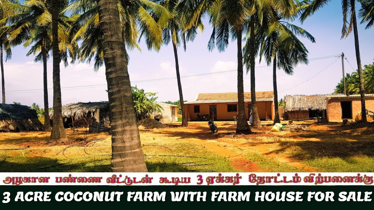 3 Acre coconut Farm with Farm house for sale very beautiful location