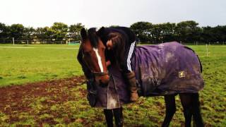 THIS HORSE IS MY LIFE!