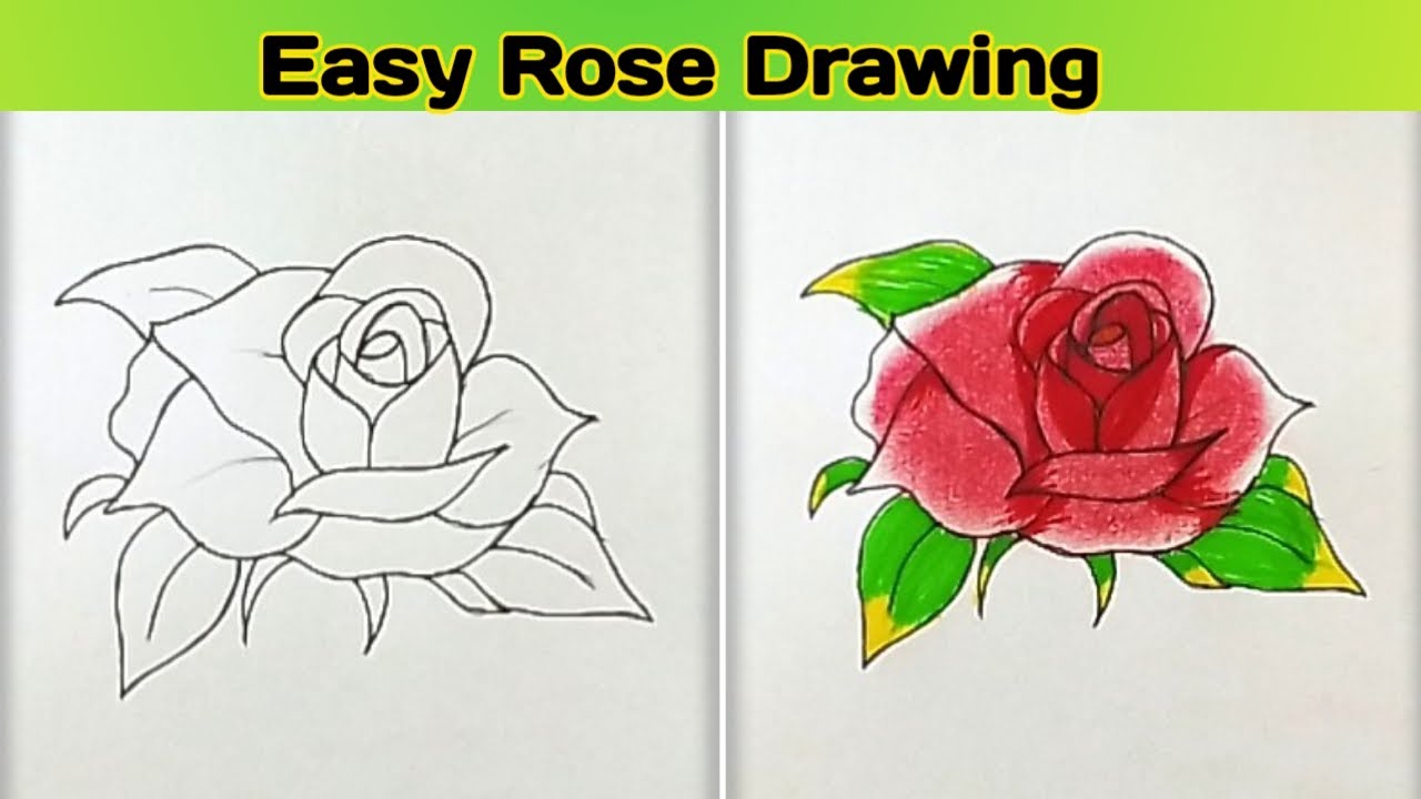 How to Draw a Rose. The Ultimate Guide and 27 Beautiful Rose