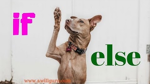 if else statement in c programming | else-if ladder | Let Us C Part-9