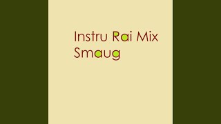 Instru Rai Mix - Smaug