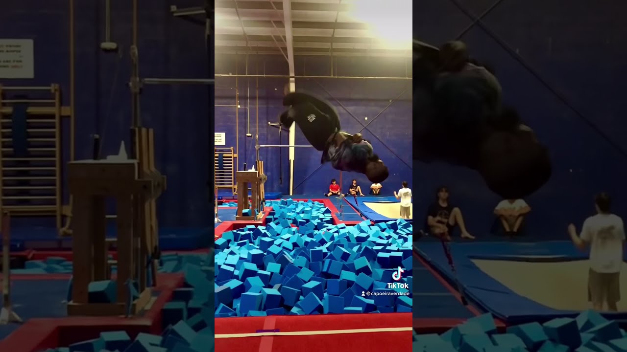 PEOPLE ARE AWESOME CAPOEIRA