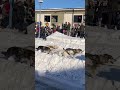 Ceremonial Start of the 2023 Iditarod