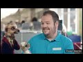 Compare the meerkat all adverts and sponsorship compilation