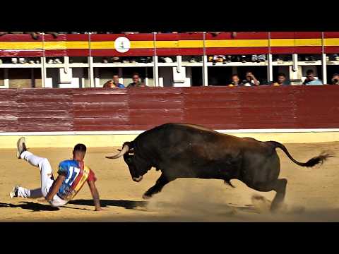 Medina del Campo 2026 Premia con 6000 Euros al Mejor Recortador