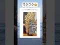 【癒し】日曜日のあなたへ贈るリラックス音楽 #睡眠導入 #shorts #マリンバ #駅メロ #鉄道 #電車