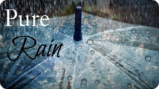 ASMR Relaxation 💦 Rain Falling on an Umbrella - 1 Hour Sleep & Study Aid (White Noise, No Thunder)