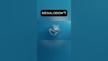 Extinct Animals Caught On Camera💀 Part 2 #extinction #animals #shorts