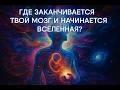 Голографическая вселенная. Глава 3. Голографическая модель и психология.