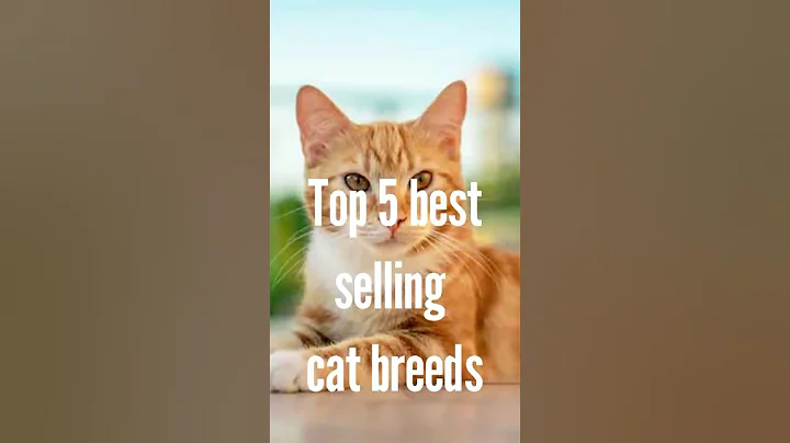 Watch the video about Top five best selling cat breed in 2025 #shorts #facts #catblogger #catnews #catheart #catmodel #cat