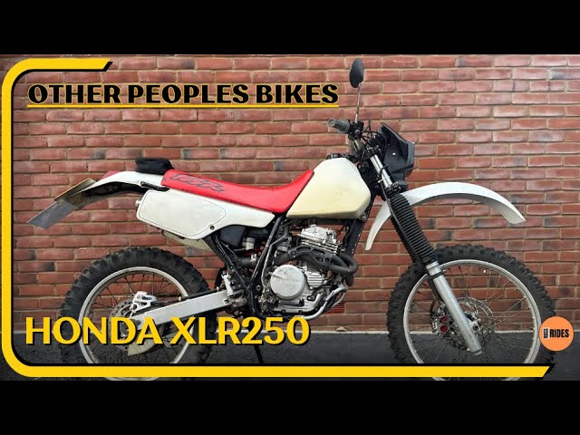 1996 Honda XLR250 #honda #honda250 #offroading #greenlane