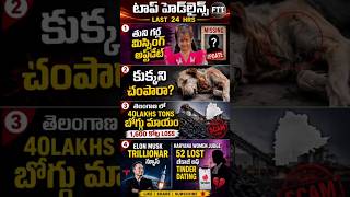 🚨గత 24 గంటల్లో దేశంలో ఏం జరిగిందో తెలుసా?తుని  కేసులో కుక్కని చంపారా?😦