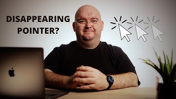 Mouse Pointer DISAPPEARING IN WIN 10? Let