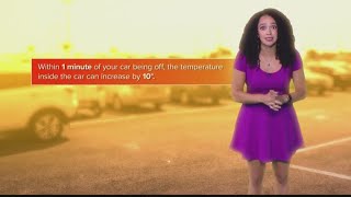 Summer Safety: Key Reminders About Heat and Cars (FCL June 24)