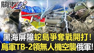 The battle for the Black Sea Barrier Snake Island begins!