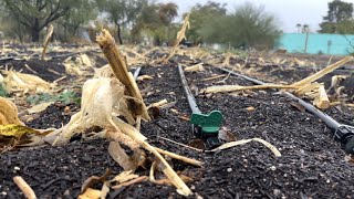 Indigenous Farming and What the Winter Solstice Represents