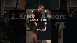 [BUILD BEEFY HAMSTRINGS!] Single Leg Standing Leg Curl #shorts