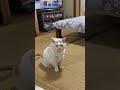 またあいたいなぁ