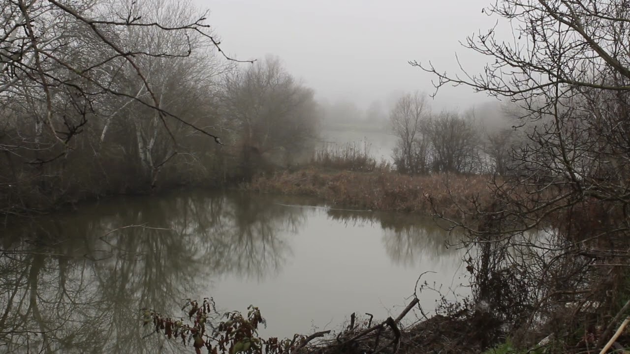 inner wealth - guided winter meditation