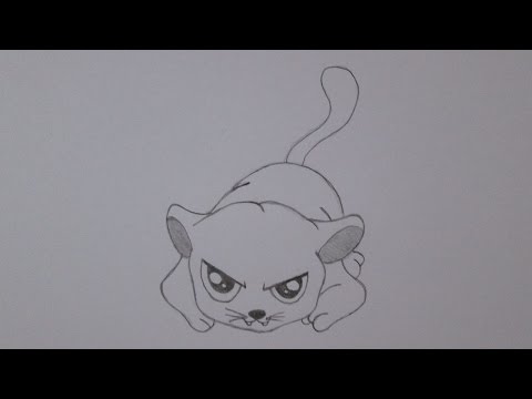 Vídeo: Como Desenhar Uma Pantera