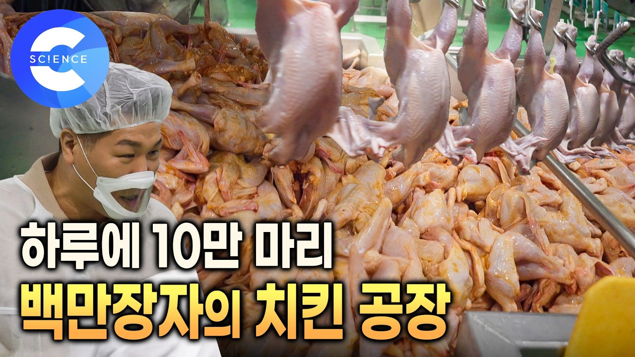 2만평 대지에 지어진 초대형 닭 공장 🐔 | 서장훈도 인정한 깔끔한 공장 내부 | 치킨이 가맹점에 오기까지 과정 | 연 매출 2천억 원의 옛날 통닭 백만장자