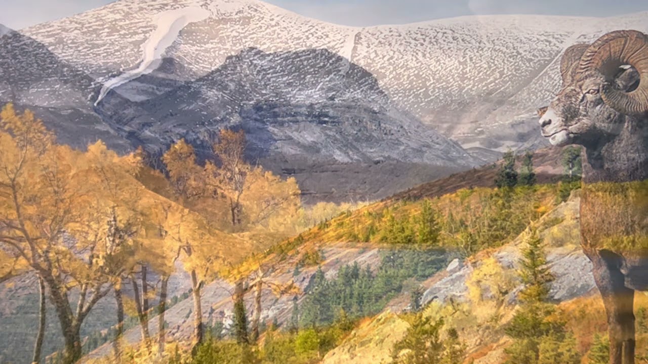 I will Recover You Isaiah 35:6 Healing devotional: Dr. Kevin Zadai Vocal Kristi Stephens Music Kevin