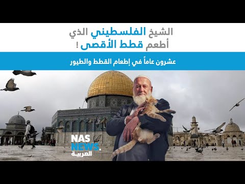 الفلسطيني الذي أطعم قطط الأقصى