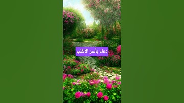 #حمزة_بوديب #دعاء_حمزة_بوديب #القارئ_حمزة_بوديب #دعاء_مستجاب #اكسبلور #لايك