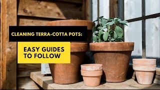 Cleaning Terra-cotta Pots: Easy Guides To Follow #pottedplants #terracottapots