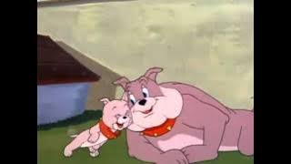 Tom  Jerry - Thats my boy.mp4