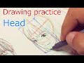 頭部のワイヤーを描く練習 : Drawing practice Head