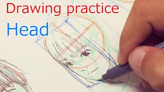 頭部のワイヤーを描く練習 : Drawing practice  Head